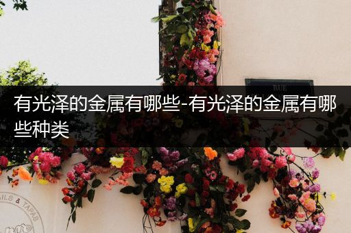 有光泽的金属有哪些-有光泽的金属有哪些种类