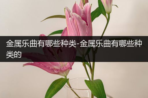 金属乐曲有哪些种类-金属乐曲有哪些种类的