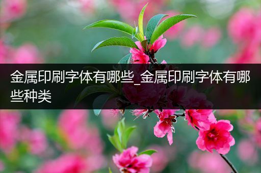 金属印刷字体有哪些_金属印刷字体有哪些种类