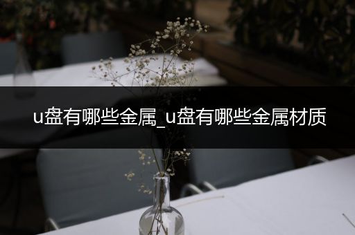 u盘有哪些金属_u盘有哪些金属材质