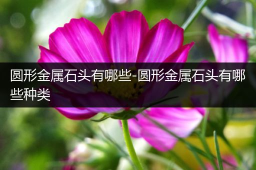 圆形金属石头有哪些-圆形金属石头有哪些种类