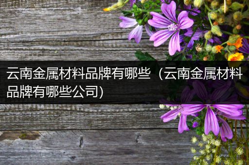 云南金属材料品牌有哪些（云南金属材料品牌有哪些公司）