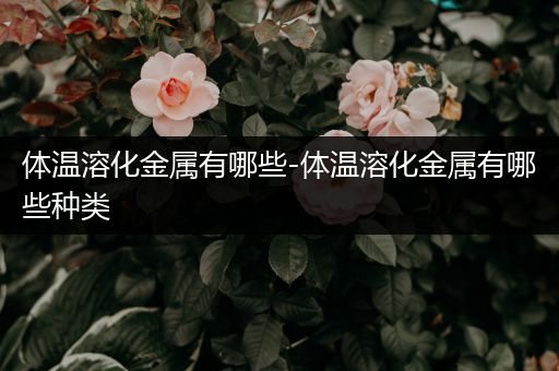 体温溶化金属有哪些-体温溶化金属有哪些种类