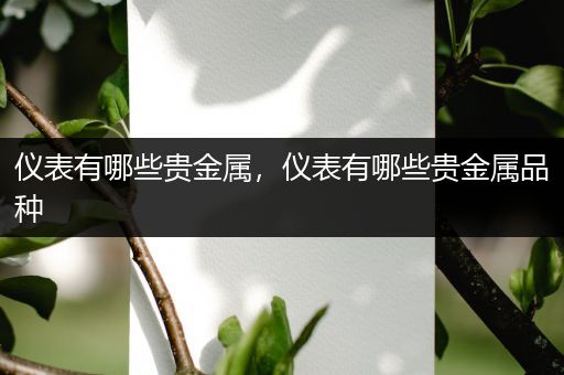 仪表有哪些贵金属，仪表有哪些贵金属品种