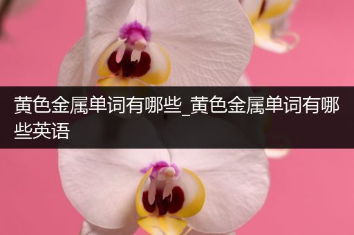 黄色金属单词有哪些_黄色金属单词有哪些英语