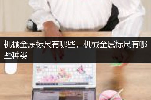 机械金属标尺有哪些，机械金属标尺有哪些种类