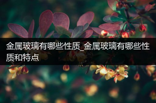 金属玻璃有哪些性质_金属玻璃有哪些性质和特点