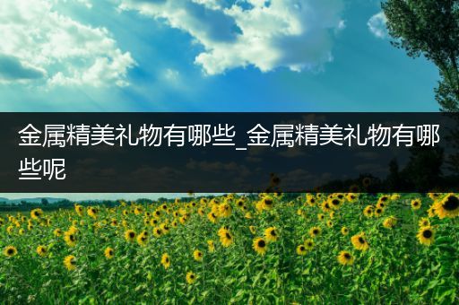 金属精美礼物有哪些_金属精美礼物有哪些呢