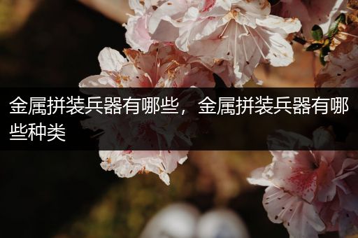 金属拼装兵器有哪些，金属拼装兵器有哪些种类