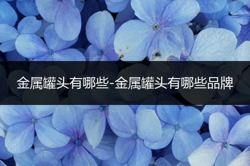 金属罐头有哪些-金属罐头有哪些品牌
