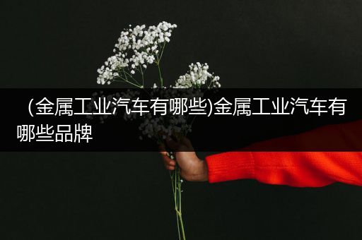 （金属工业汽车有哪些)金属工业汽车有哪些品牌