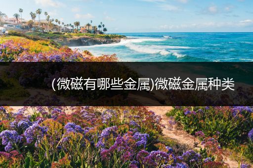 （微磁有哪些金属)微磁金属种类