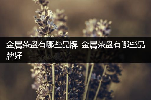 金属茶盘有哪些品牌-金属茶盘有哪些品牌好