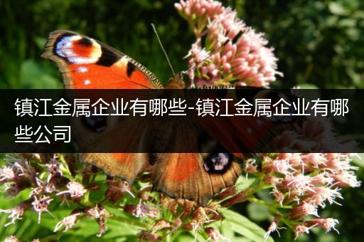 镇江金属企业有哪些-镇江金属企业有哪些公司