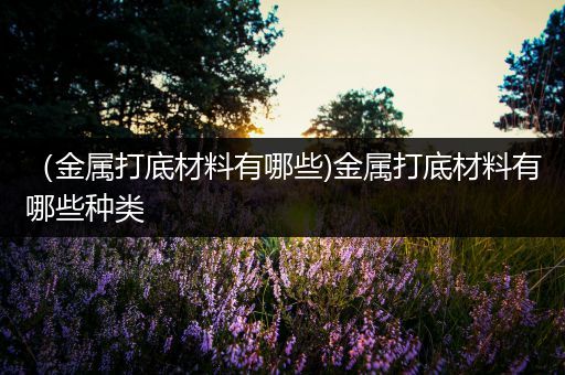 （金属打底材料有哪些)金属打底材料有哪些种类