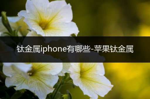 钛金属iphone有哪些-苹果钛金属