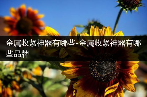 金属收紧神器有哪些-金属收紧神器有哪些品牌