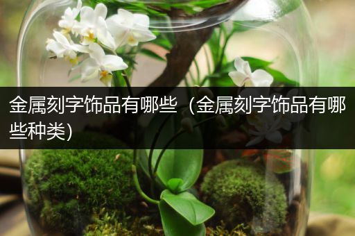 金属刻字饰品有哪些（金属刻字饰品有哪些种类）