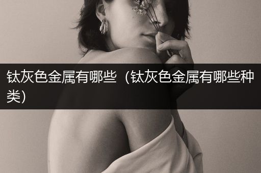 钛灰色金属有哪些（钛灰色金属有哪些种类）