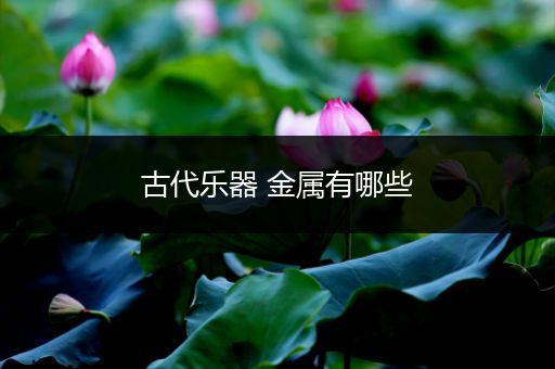 古代乐器 金属有哪些