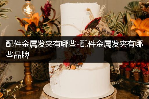 配件金属发夹有哪些-配件金属发夹有哪些品牌