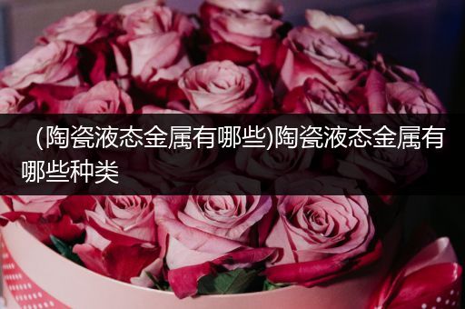 （陶瓷液态金属有哪些)陶瓷液态金属有哪些种类