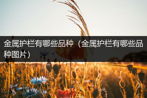 金属护栏有哪些品种（金属护栏有哪些品种图片）