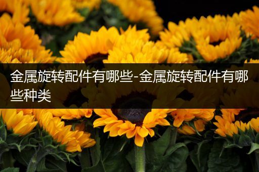 金属旋转配件有哪些-金属旋转配件有哪些种类