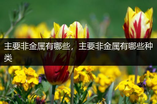 主要非金属有哪些，主要非金属有哪些种类