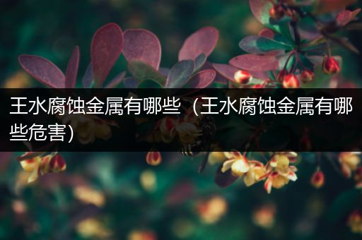 王水腐蚀金属有哪些（王水腐蚀金属有哪些危害）