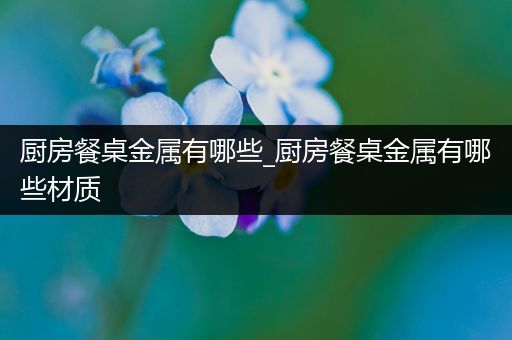 厨房餐桌金属有哪些_厨房餐桌金属有哪些材质