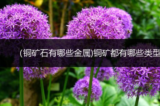 （铜矿石有哪些金属)铜矿都有哪些类型