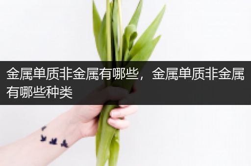 金属单质非金属有哪些，金属单质非金属有哪些种类