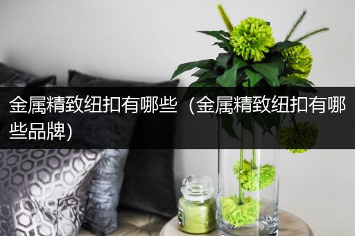 金属精致纽扣有哪些（金属精致纽扣有哪些品牌）