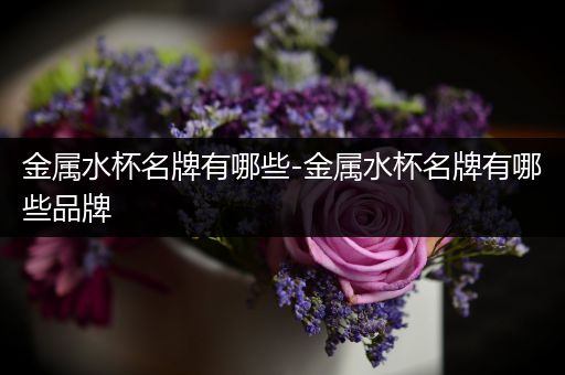 金属水杯名牌有哪些-金属水杯名牌有哪些品牌