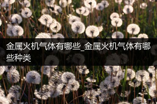 金属火机气体有哪些_金属火机气体有哪些种类