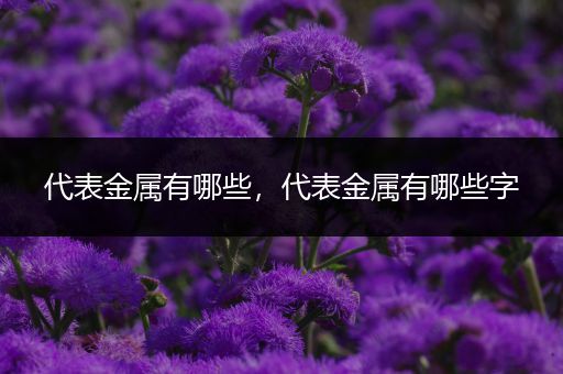 代表金属有哪些，代表金属有哪些字