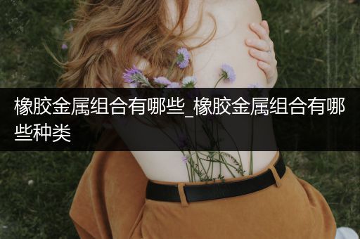 橡胶金属组合有哪些_橡胶金属组合有哪些种类