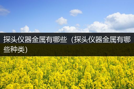 探头仪器金属有哪些（探头仪器金属有哪些种类）