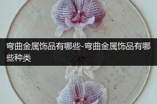 弯曲金属饰品有哪些-弯曲金属饰品有哪些种类