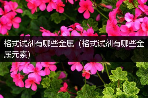 格式试剂有哪些金属（格式试剂有哪些金属元素）