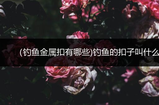 （钓鱼金属扣有哪些)钓鱼的扣子叫什么