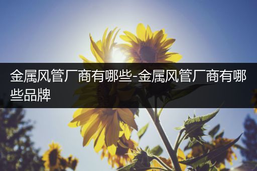 金属风管厂商有哪些-金属风管厂商有哪些品牌