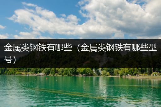 金属类钢铁有哪些（金属类钢铁有哪些型号）