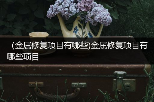 （金属修复项目有哪些)金属修复项目有哪些项目