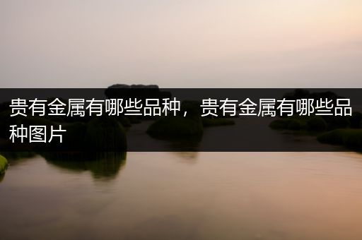 贵有金属有哪些品种，贵有金属有哪些品种图片