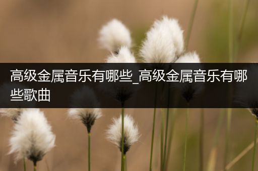 高级金属音乐有哪些_高级金属音乐有哪些歌曲