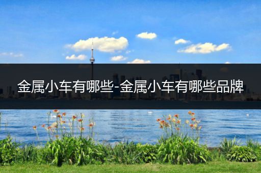 金属小车有哪些-金属小车有哪些品牌