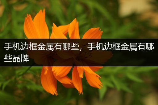 手机边框金属有哪些，手机边框金属有哪些品牌