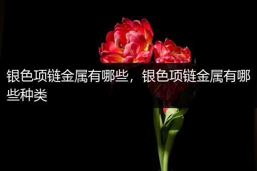 银色项链金属有哪些，银色项链金属有哪些种类